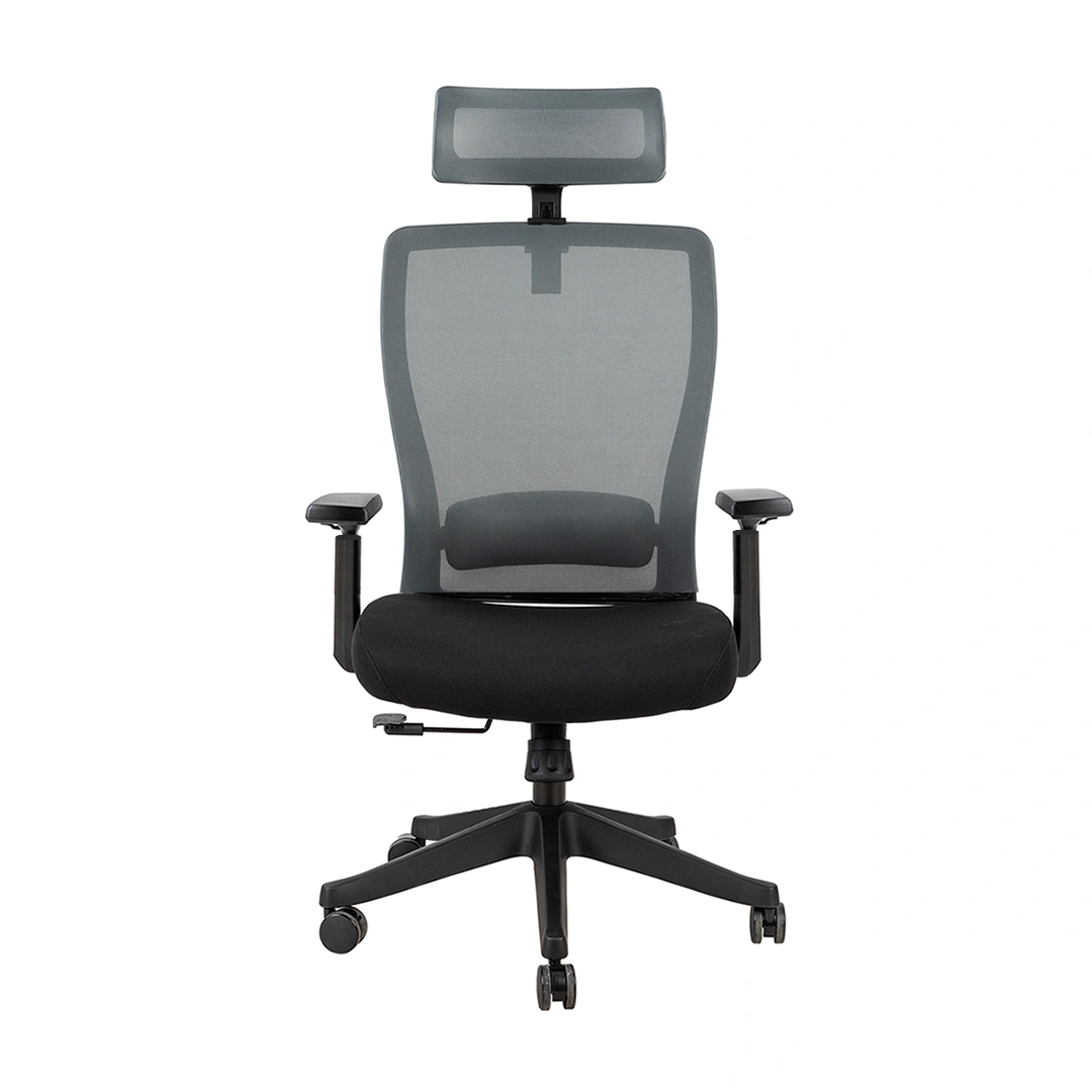 freefrom ERGO in black color